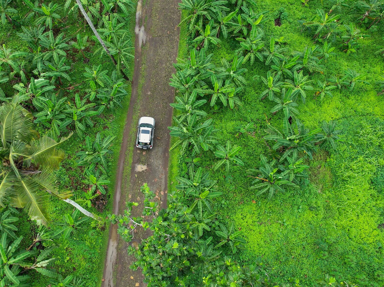 Viaje en coche por la isla de São Tomé, en carreteras a través de la naturaleza