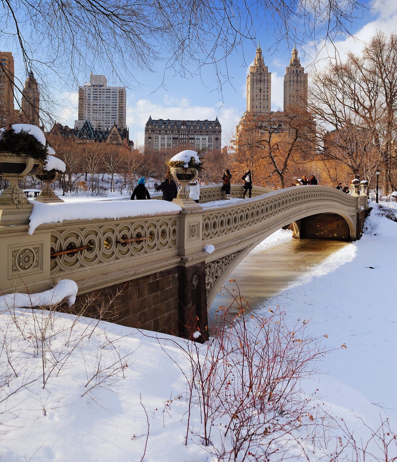 Explorá Hoteles en Nueva York con vistas al puente nevado de Central Park y edificios bajo cielo azul
