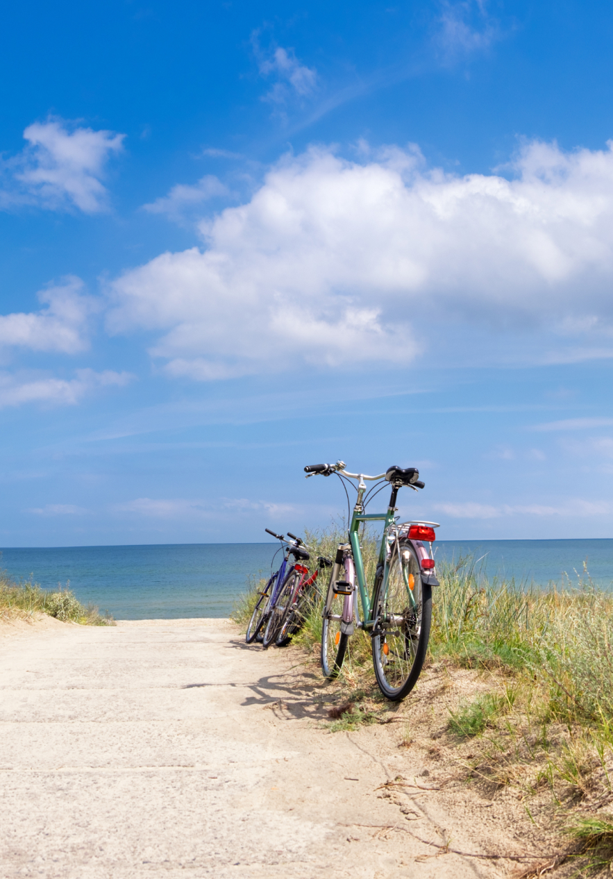 Dos bicicletas paradas al lado de la carretera, junto a la playa, después de un largo paseo en bicicleta