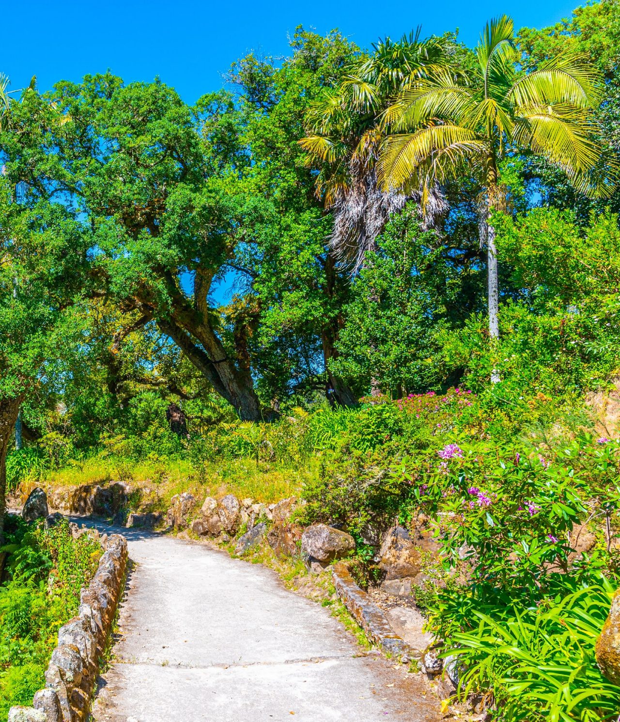 Explora Hoteles en Lisboa con vistas a un sendero rodeado de árboles tropicales y jardines bajo cielo azul