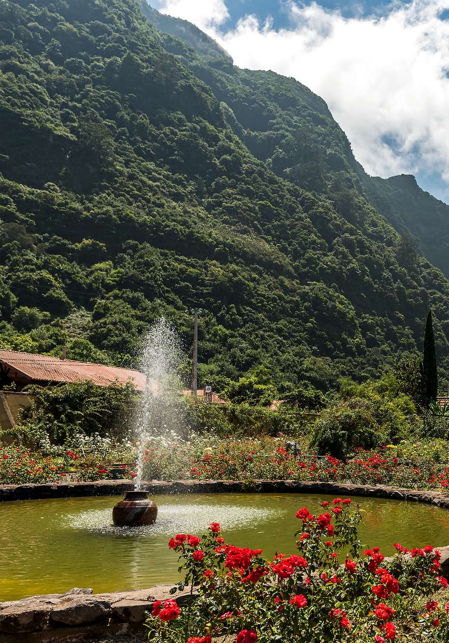 Jardín de rosas en Pestana Quinta do Arco, con uno de los mayores roseirales de Europa
