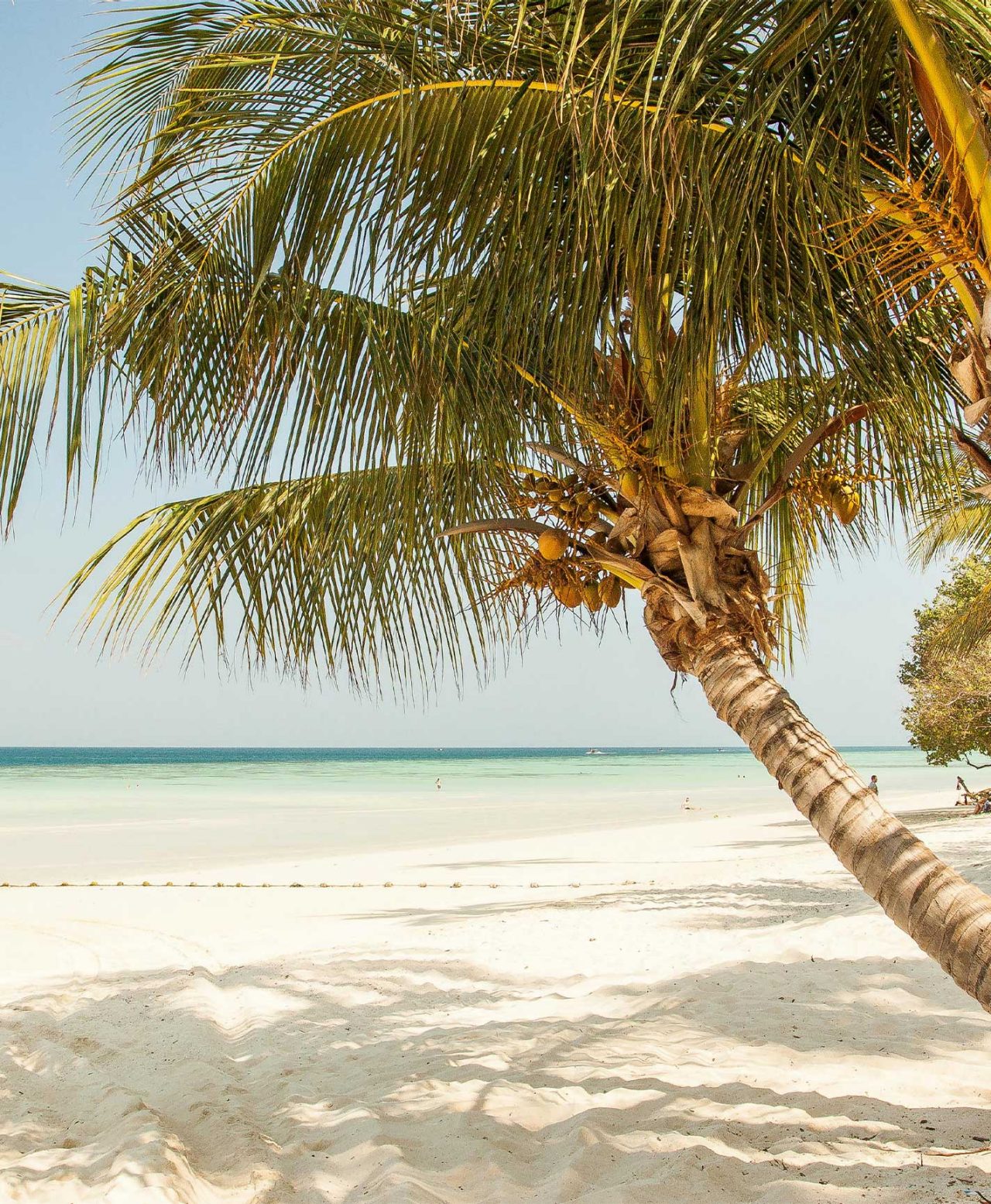 Playa paradisíaca, con arena blanca, agua azul y palmeras, de un hotel de la marca Pestana Hotels & Resorts