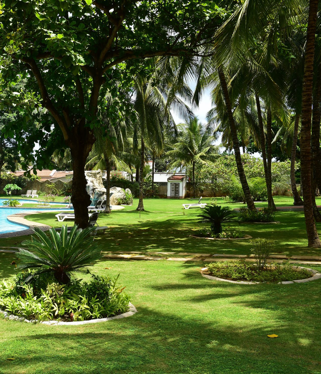 O bar Safu, do Hotel 4 Estrelas em São Tomé, tem um jardim com várias árvores e piscina