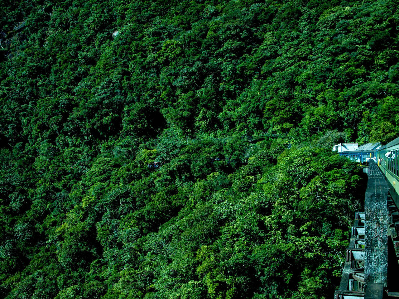 Viajar de comboio em Curitiba oferece vistas panorâmicas deslumbrantes, especialmente na famosa Serra Verde Express