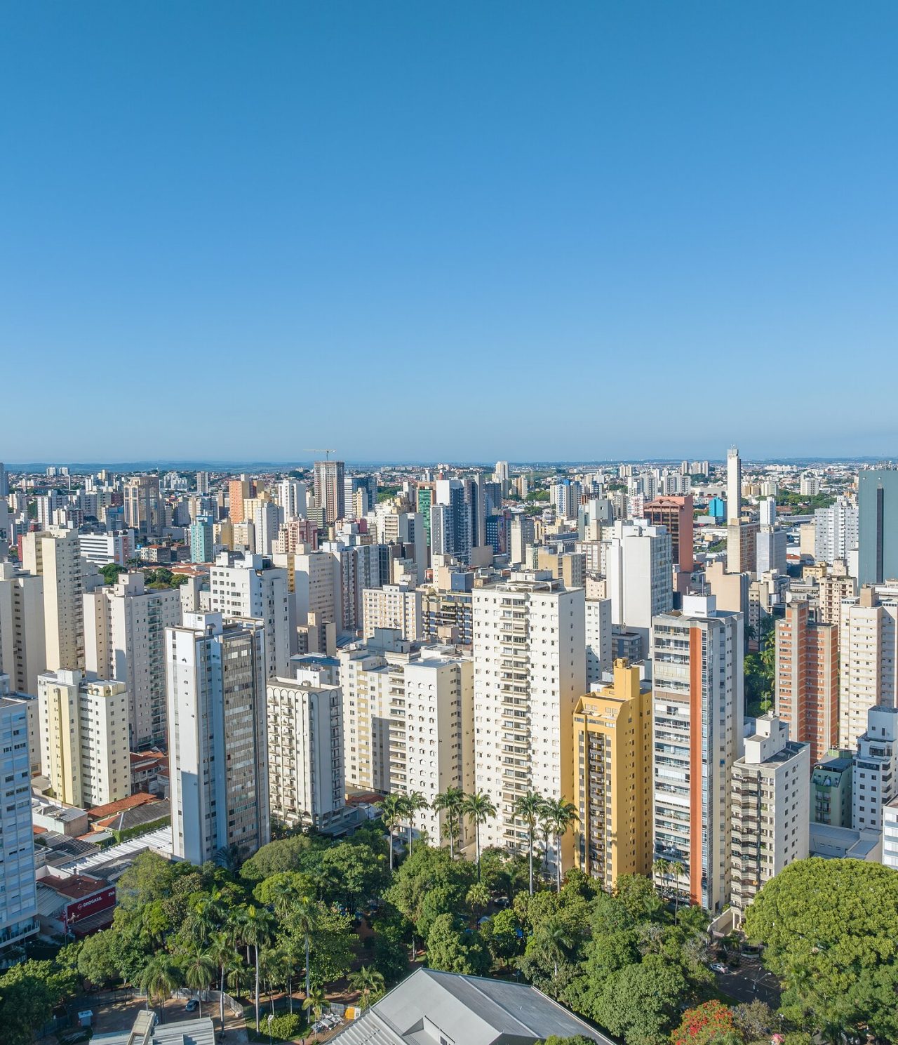 Vista aérea de São Paulo, com vários prédios altos brancos, com um jardim com vegetação em primeiro plano