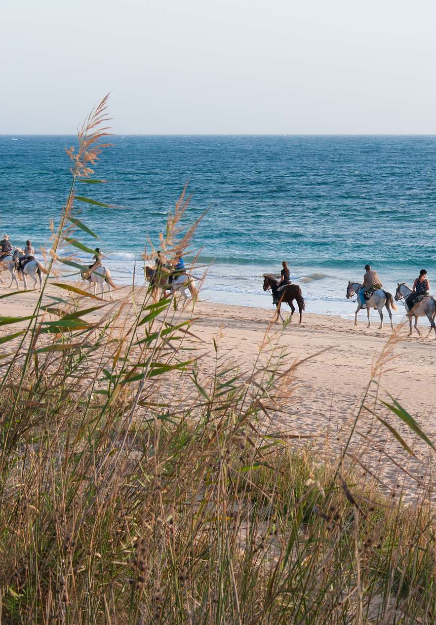 Grupo de pessoas a passear a cavalo à beira mar nas praias de Tróia e da Comporta