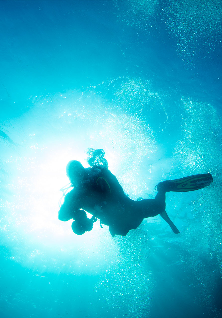 No Parque Ocean Revival tem a oportunidade de mergulhar em quatro navios e explorá-los