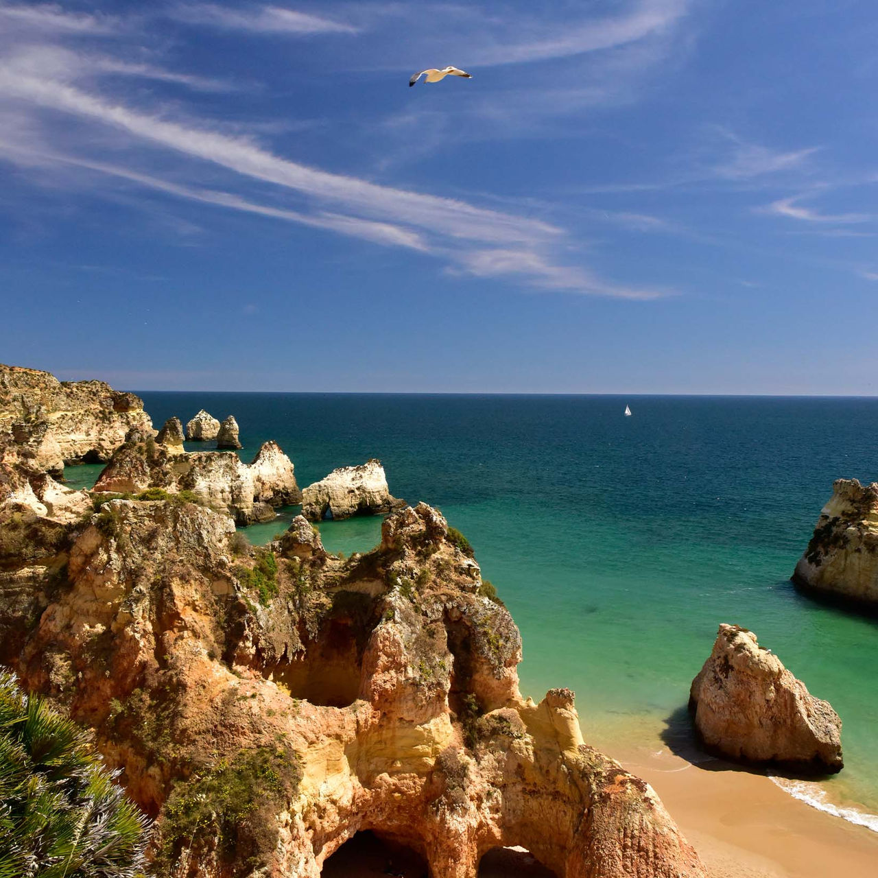 Vista para a Praia dos 3 Irmãos, com as rochas, vegetação, areia, o mar na lateral e o céu com poucas nuvens com uma gaivota