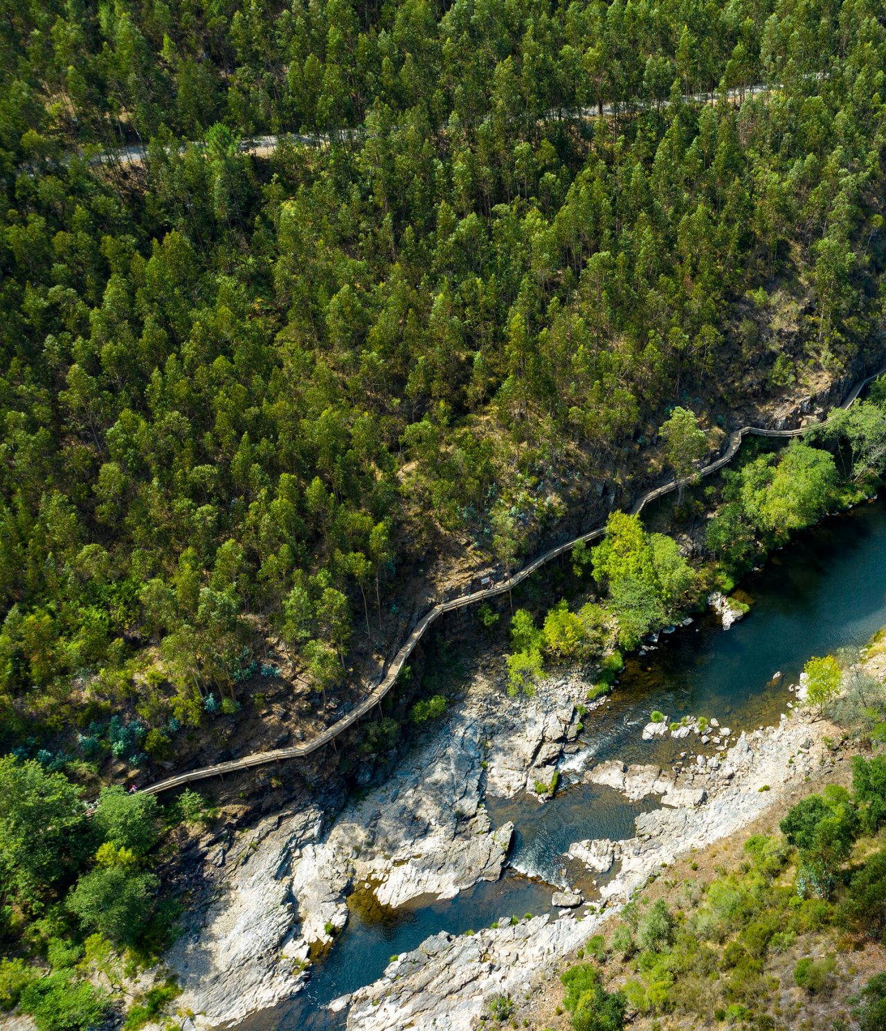Vista aérea de um rio serpenteando por uma floresta exuberante