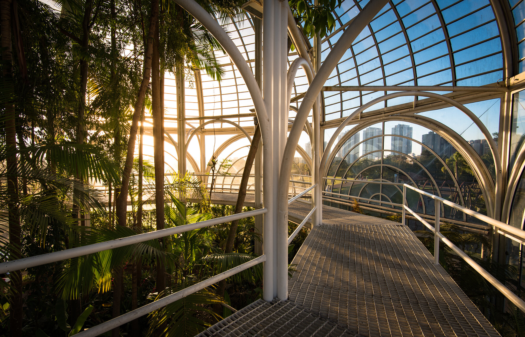 Der Botanische Garten von Curitiba begeistert mit seinem Glashaus, blühenden Gärten und ruhigen Wegen für entspannte Spaziergänge