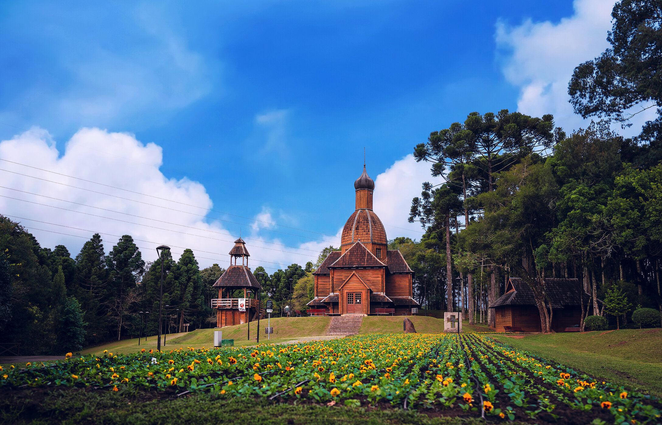 Der Tingui-Park in Curitiba ist ein ruhiger Ort, ideal zum Spazierengehen, mit schönen Seen und Grünflächen zum Entspannen