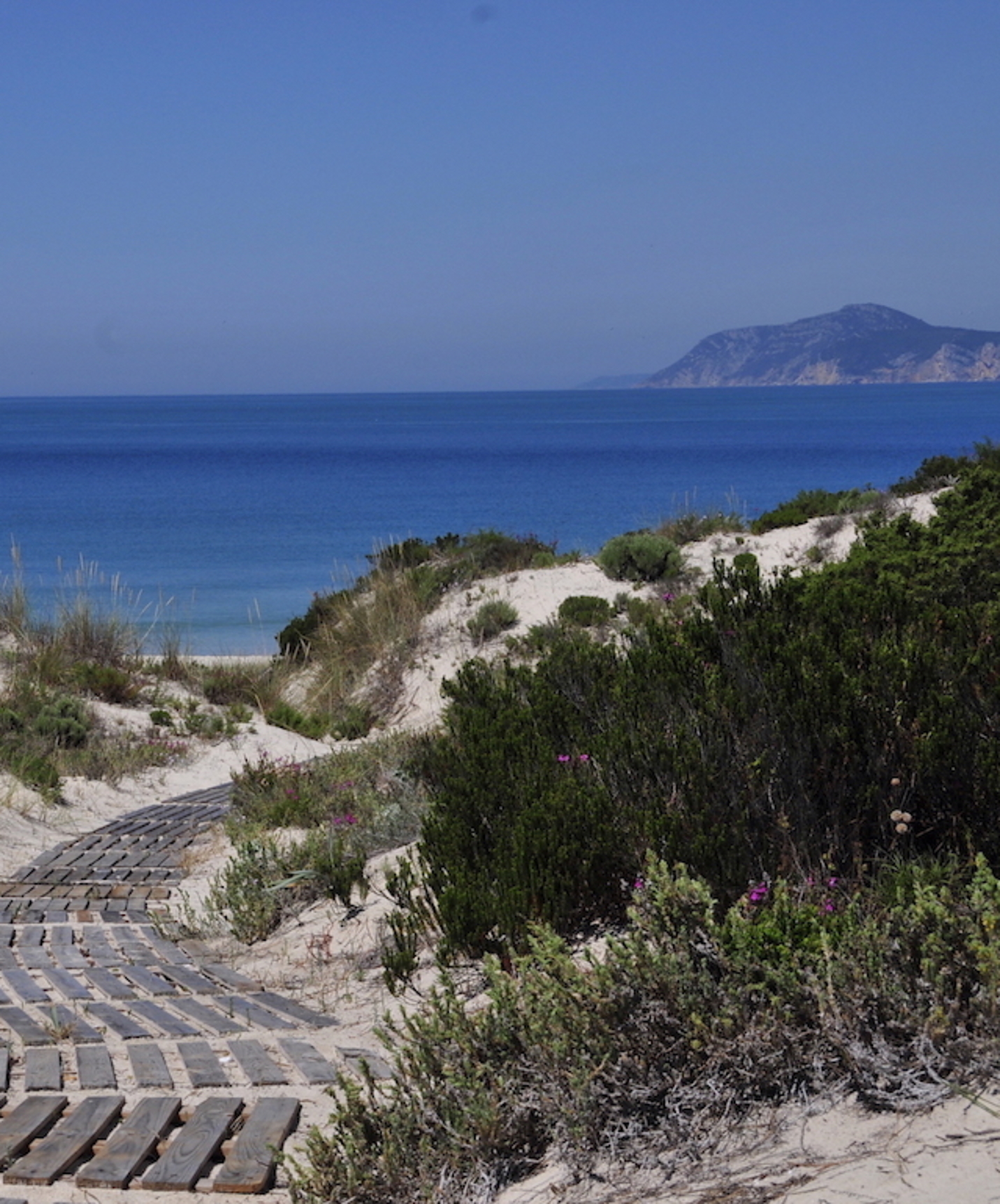 Holzsteg, der direkten Zugang zum Strand von Soltroia vom Pestana Tróia Eco Resort bietet