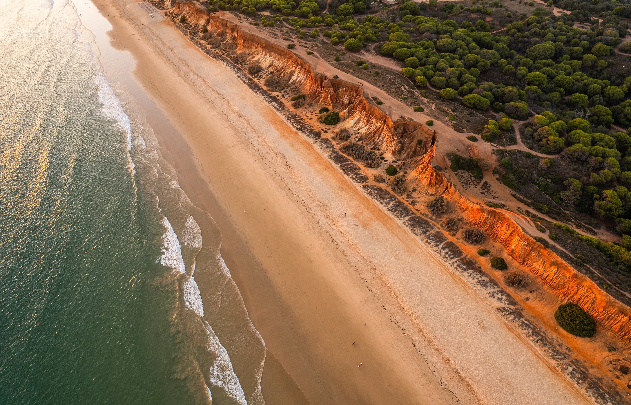 Luftaufnahme der Praia da Falésia, an der Algarve, mit einem weiten goldenen Sandstrand entlang der Küste und kristallklarem Wasser