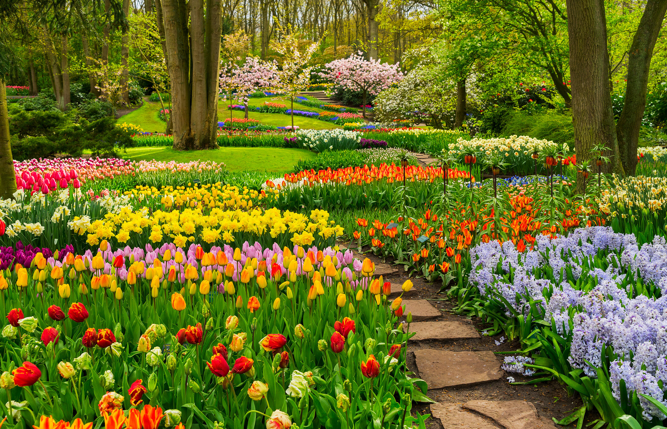 Keukenhof in Lisse, Niederlande, mit Tulpen in vielen Farben, einem Steinweg und Vegetation.