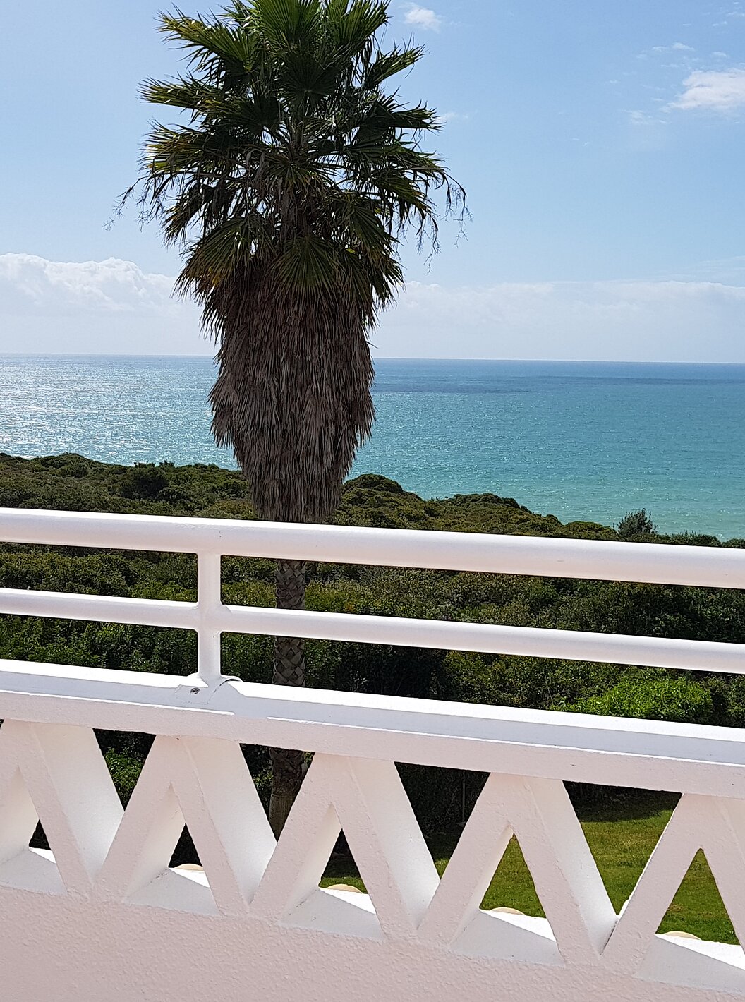 The T2 Apartment Premium do Pestana Palm Gardens has a balcony with a view of the green garden, palm trees and the sea