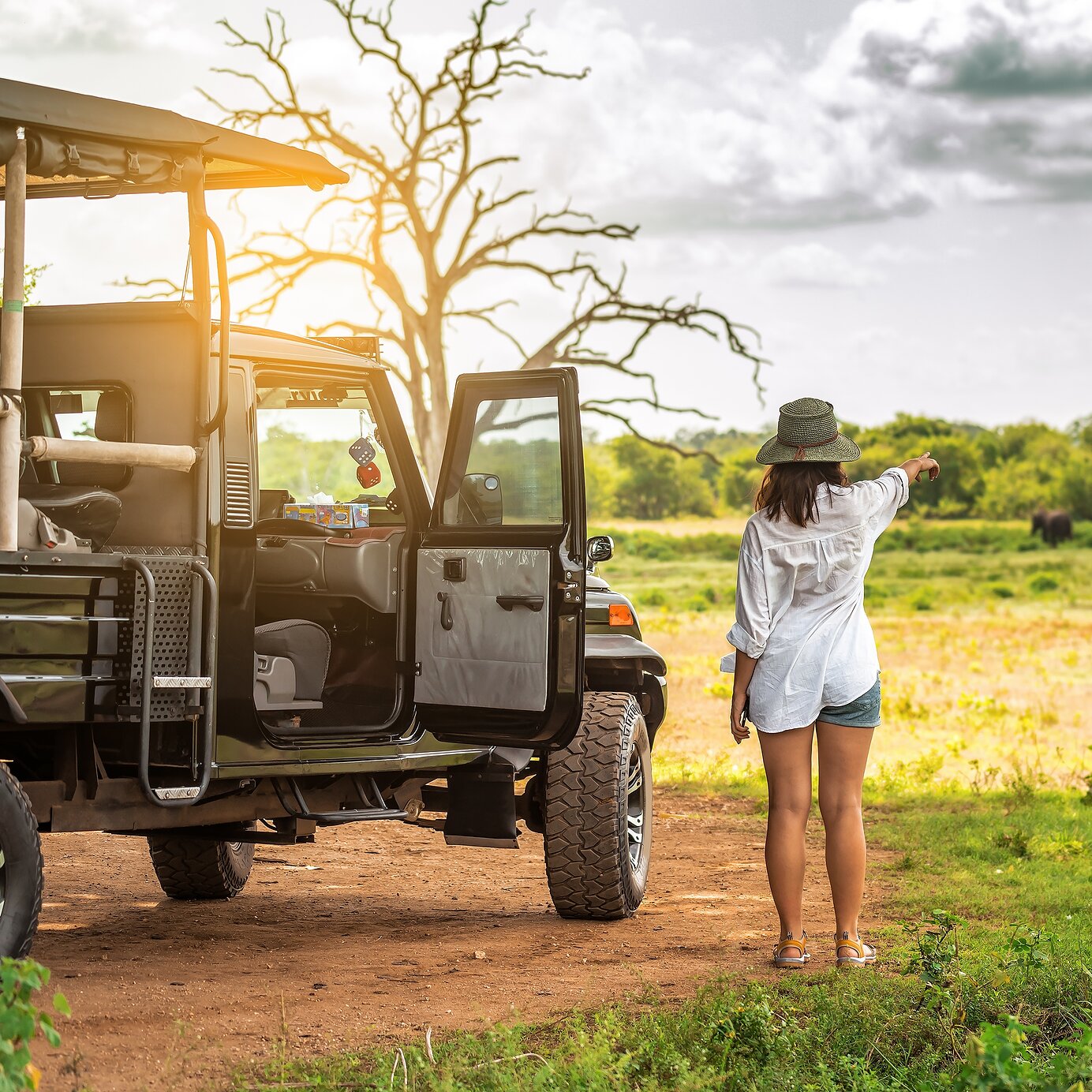 Stay at a Pestana hotel and have the chance to encounter the "Big Five" in their natural habitat while on safari.
