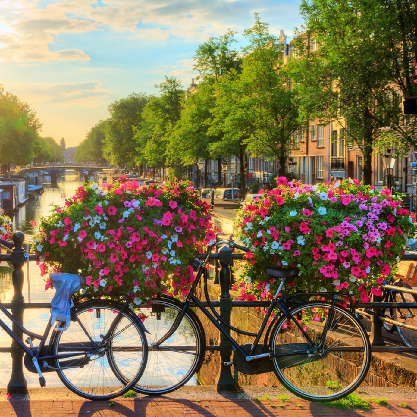 Stay at a Pestana hotel and rent a bike to ride along the flower-lined canals of Amsterdam, Netherlands.