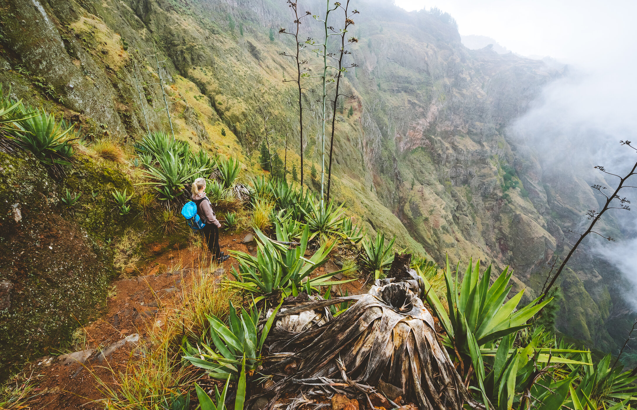 Woman walking in a mountainous landscape with plants and a deep valley in Vale de Paúl, Cape Verde