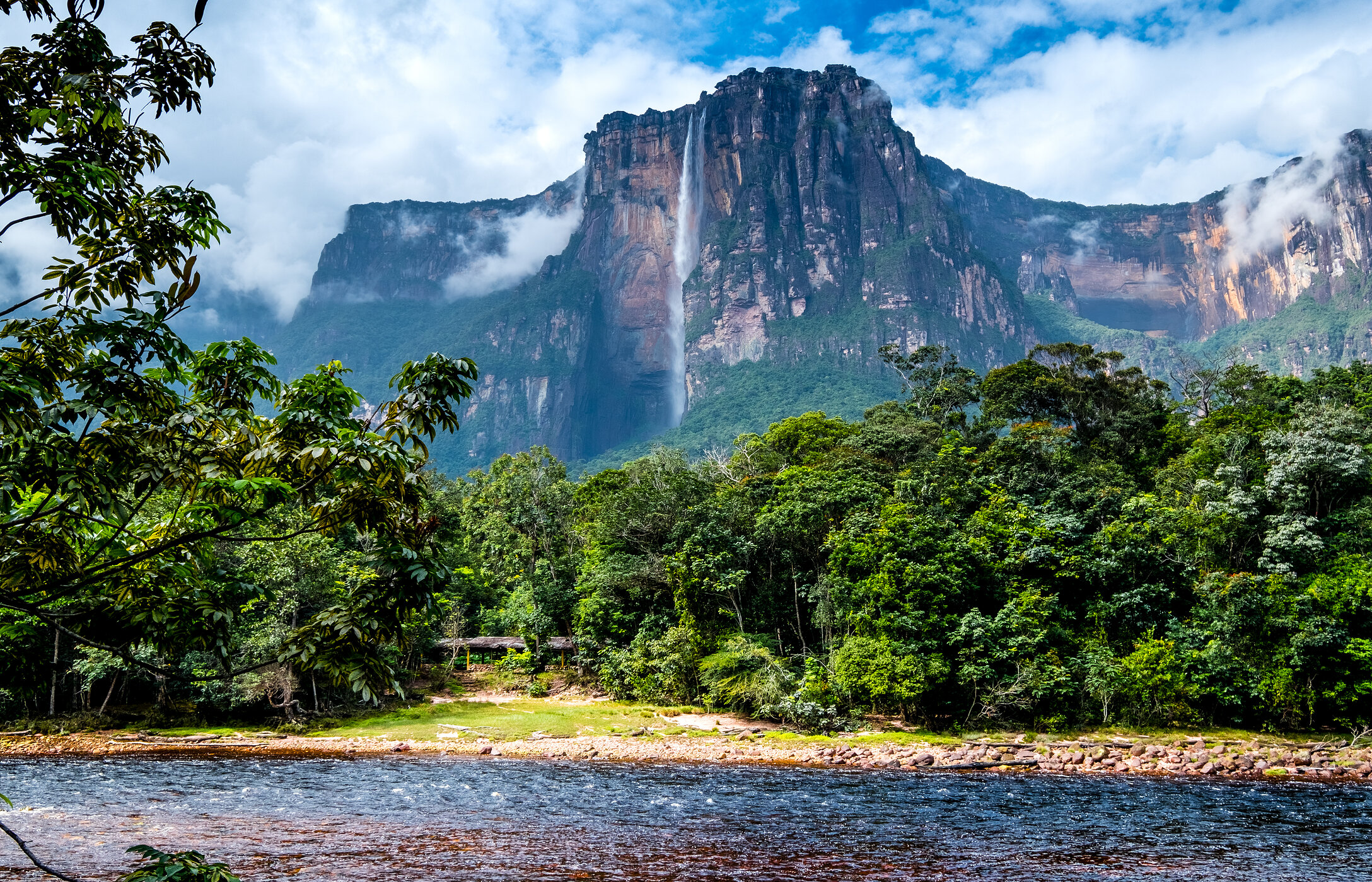 Panoramic view of Angel Falls in Venezuela, with cascading water surrounded by tropical vegetation.