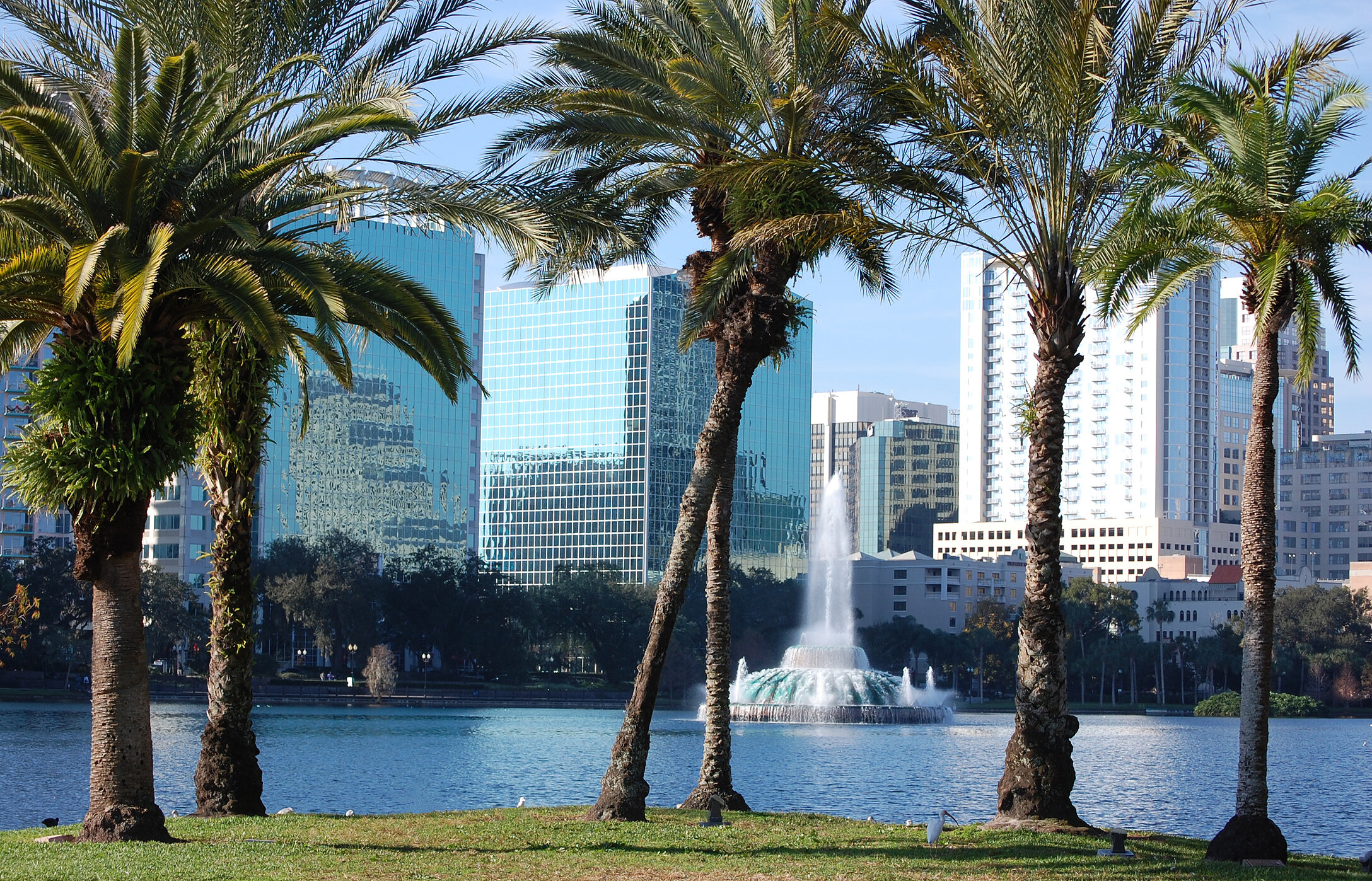 Vista de la Fuente de Eola, rodeada de palmeras y edificios al fondo