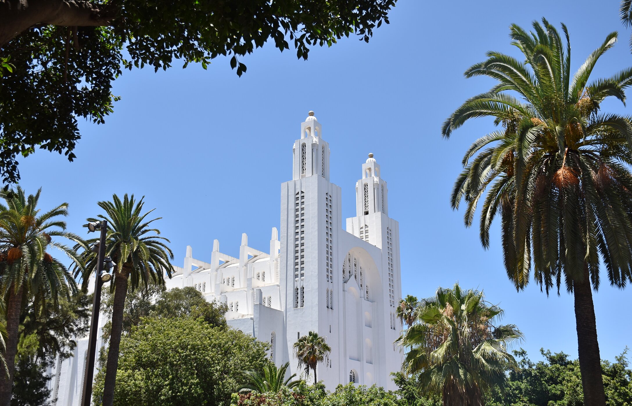 Vue de la Cathédrale aux murs blancs de Casablanca entourée de différents arbres dans le centre-ville