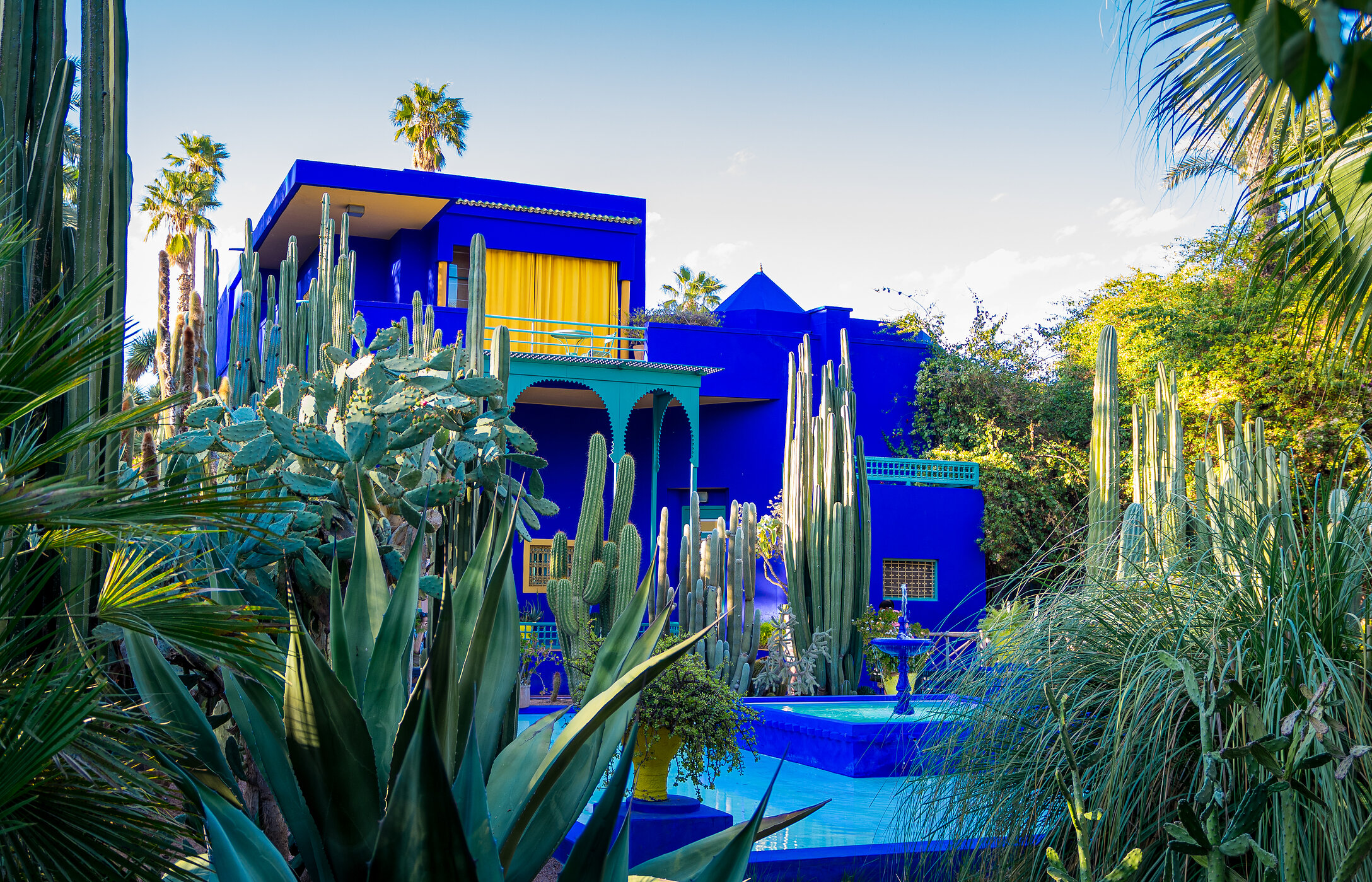 Le Jardin Majorelle avec une grande diversité d'espèces botaniques et une maison bleue vif avec des rideaux jaunes et une fontaine