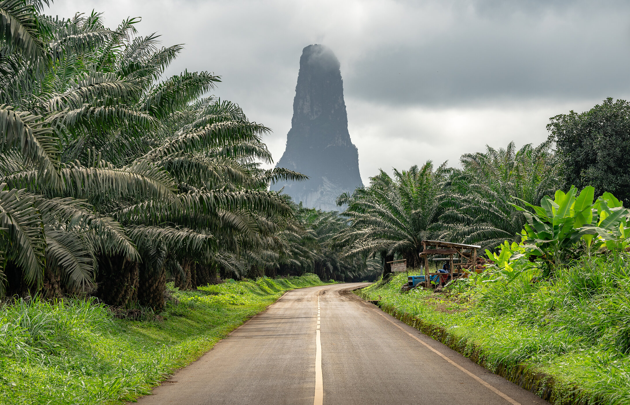 Pico Cão Grande, visible de presque toute l'île et de la route avec des palmiers autour