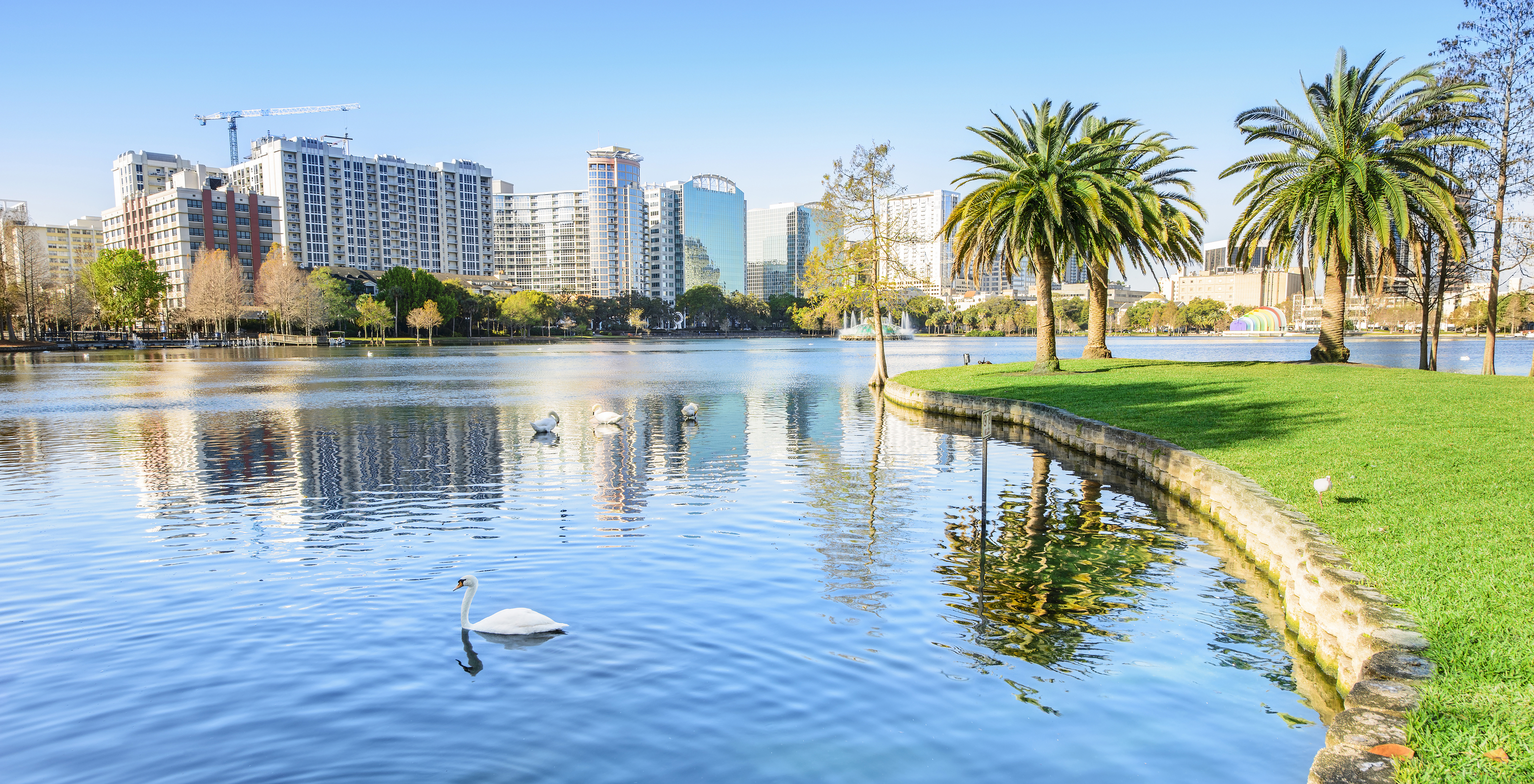 Vue d'un lac calme, avec des cygnes blancs, un jour de ciel bleu avec quelques nuages, avec la ville d'Orlando au fond