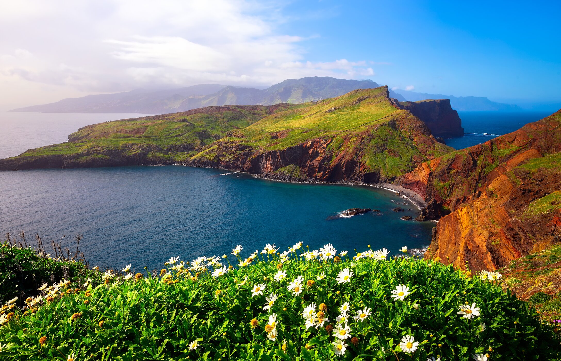Uitzicht op de iconische Ponta de São Lourenço op het eiland Madeira, omgeven door de oceaan en met bloemen op de voorgrond.