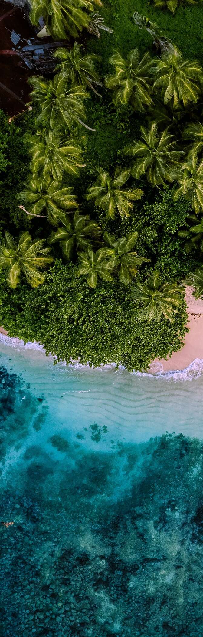 Ontdek het aanbod van Pestana Hotel Group in São Tomé, een tropisch paradijs met ongerepte stranden en rijke biodiversiteit