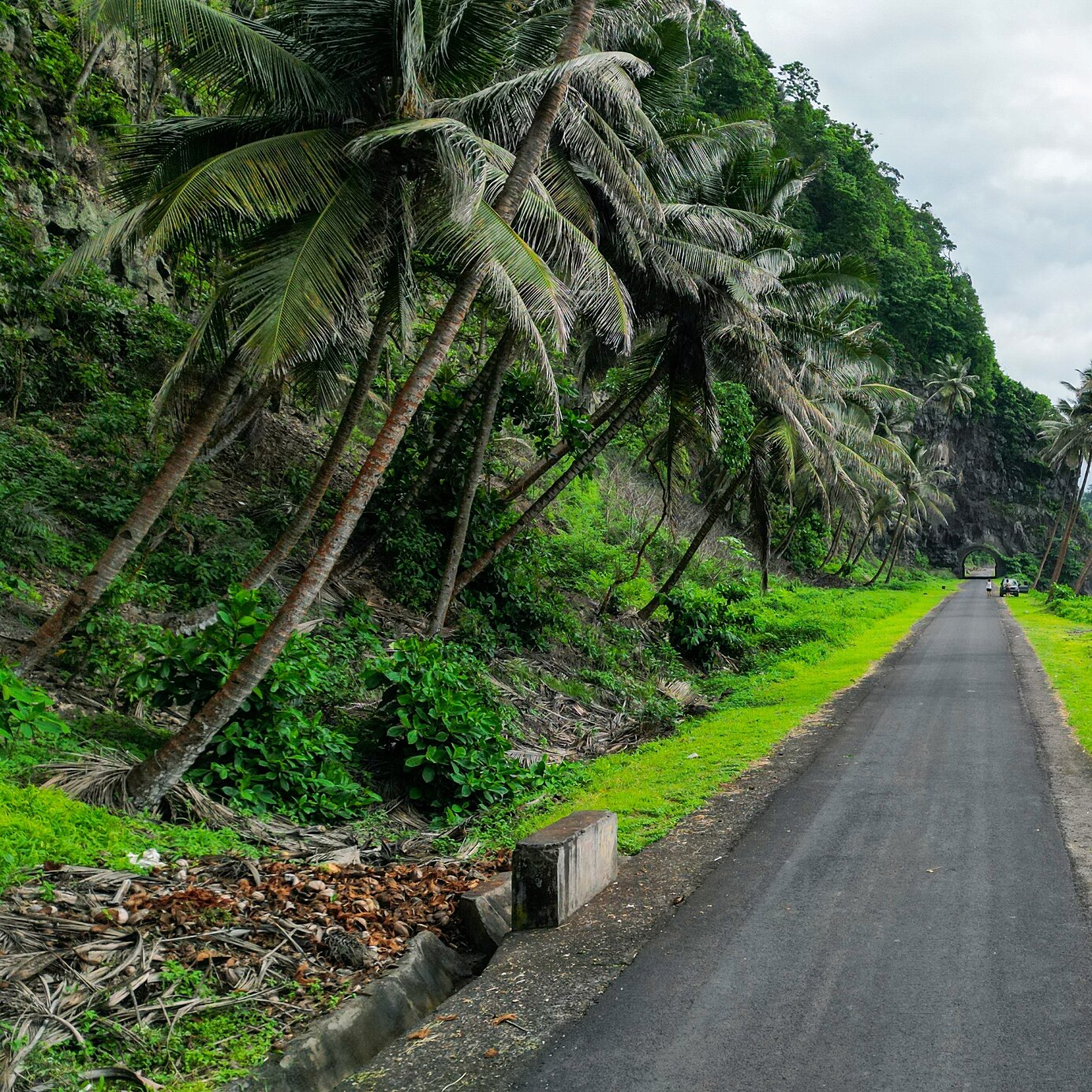 Fique num hotel Pestana e explore São Tomé e Príncipe de carro, nas suas estradas junto ao mar, rodeadas por vegetação