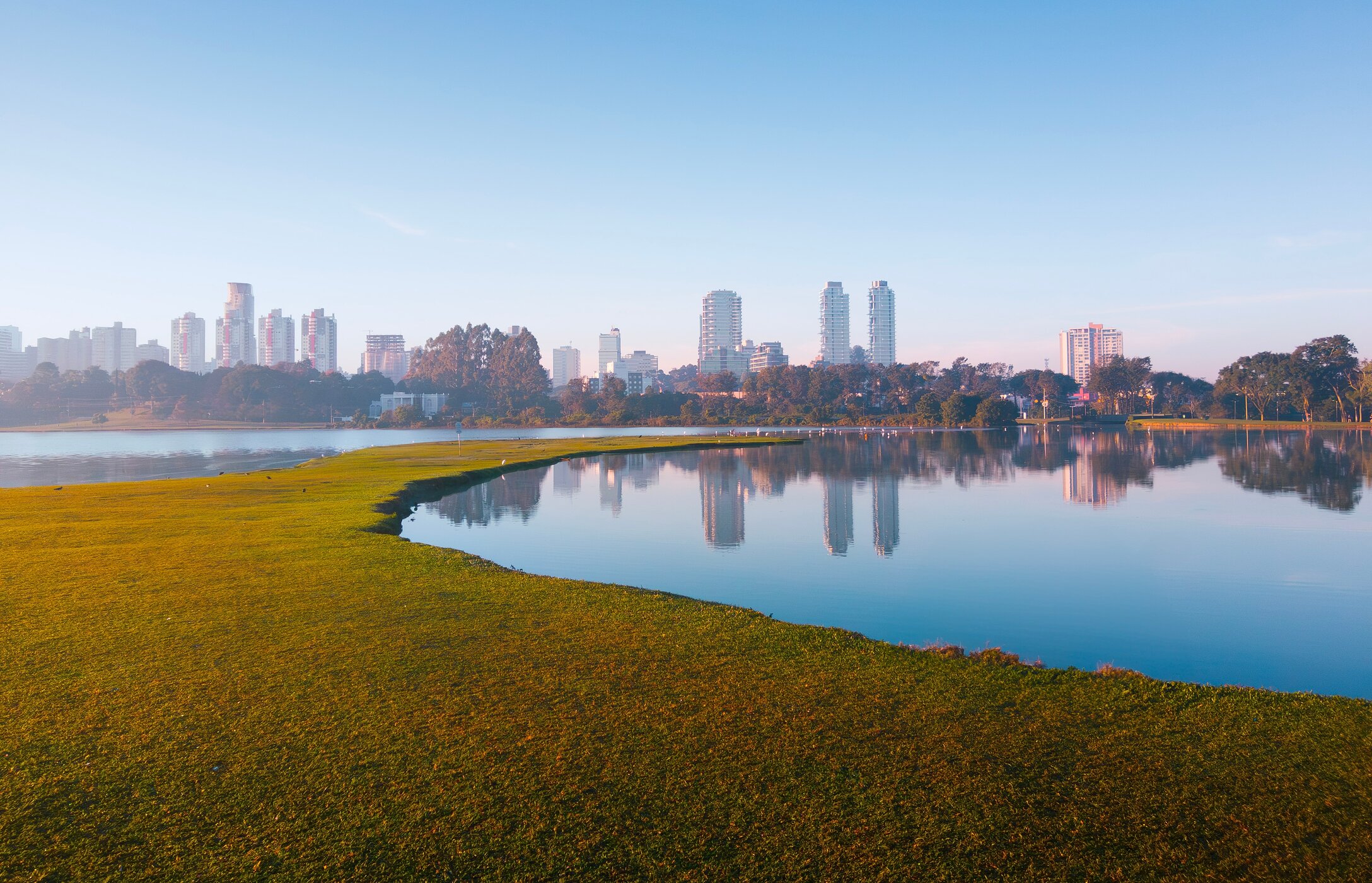 O Parque Barigui em Curitiba é um refúgio verde, perfeito para caminhadas, piqueniques e avistar capivaras ao longo do lago