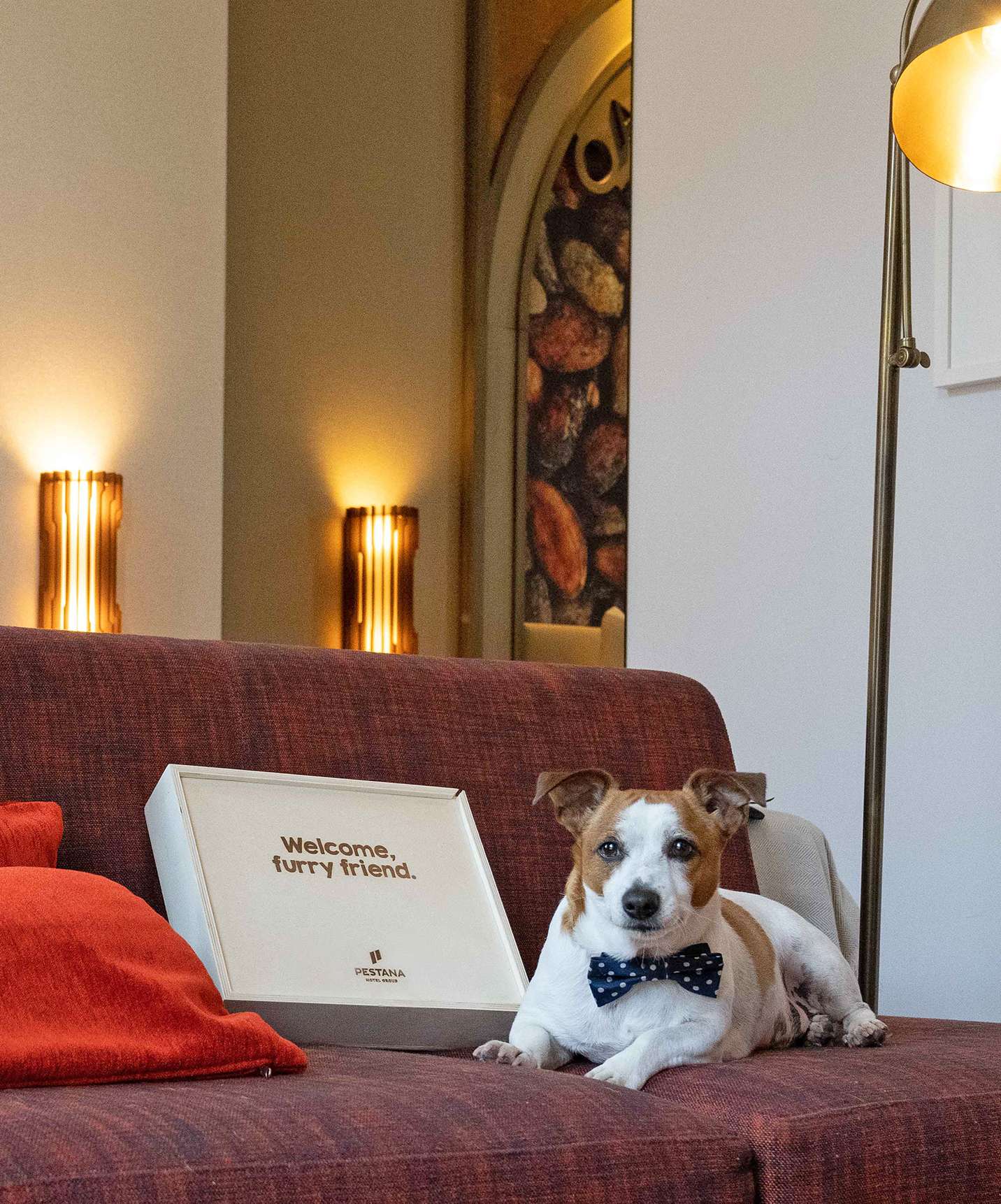 O Pestana Miramar é um hotel pet-friendly, onde os cães podem relaxar com os donos no seu quarto