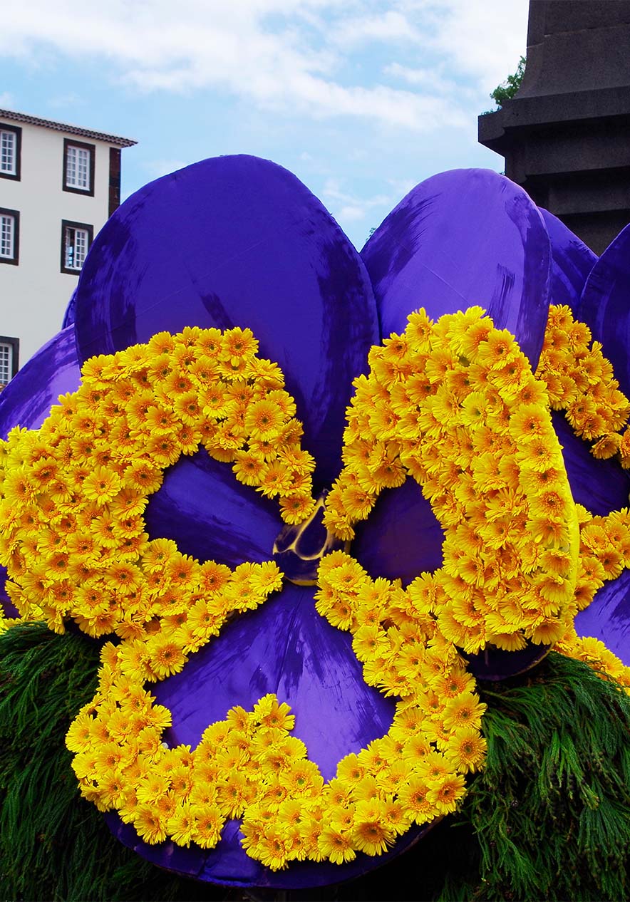 Verweilen Sie im Pestana Casino Park und entdecken Sie die Farbenpracht des Blumenfestes mit vielen bunten Blumen