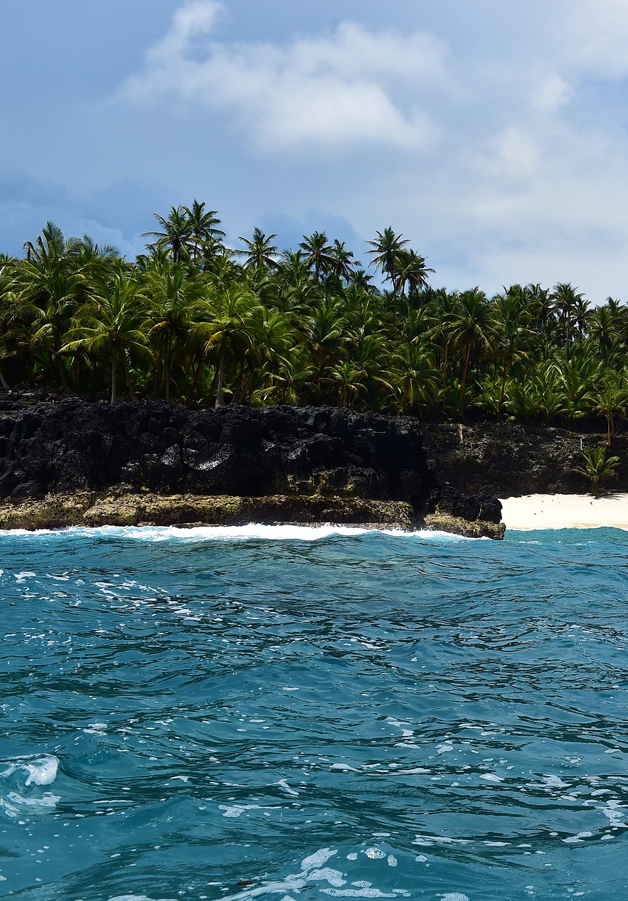 View from inside a small blue boat sailing towards the rocky coast with palm trees on Ilhéu das Rolas