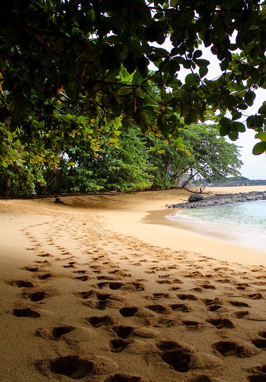 Beach on Ilhéu das Rolas with golden sand stretching to the calm blue sea and mountains in the background
