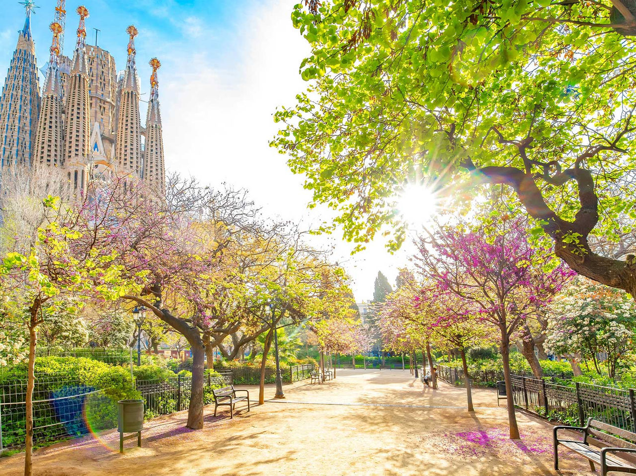 Tuin met kleurrijke bomen en een pad, met de Sagrada Família op de achtergrond, op een zonnige dag