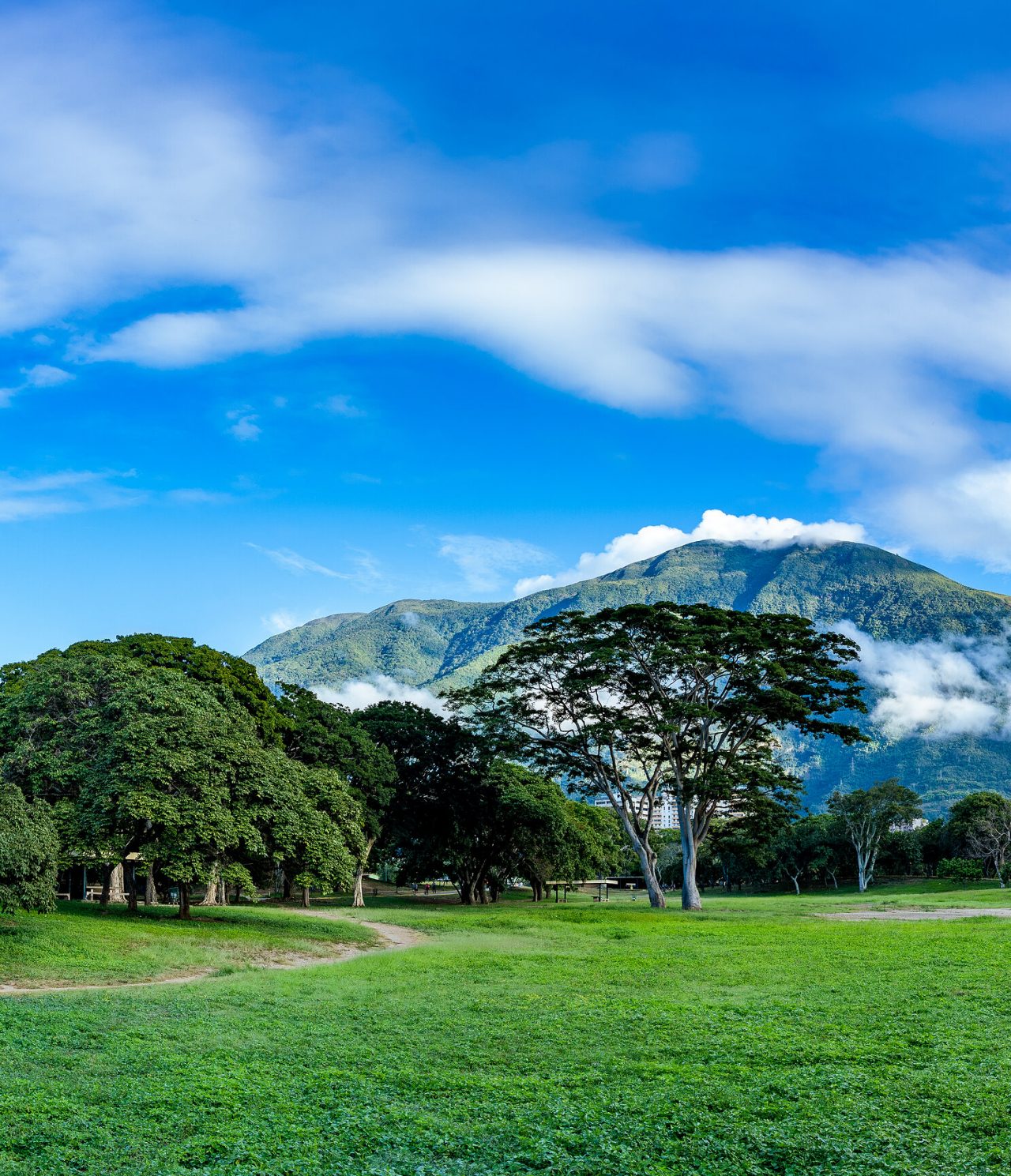 Uitgestrekt natuurlijk landschap met een imposante berg op de achtergrond, bedekt met wolken en een blauwe lucht in Caracas