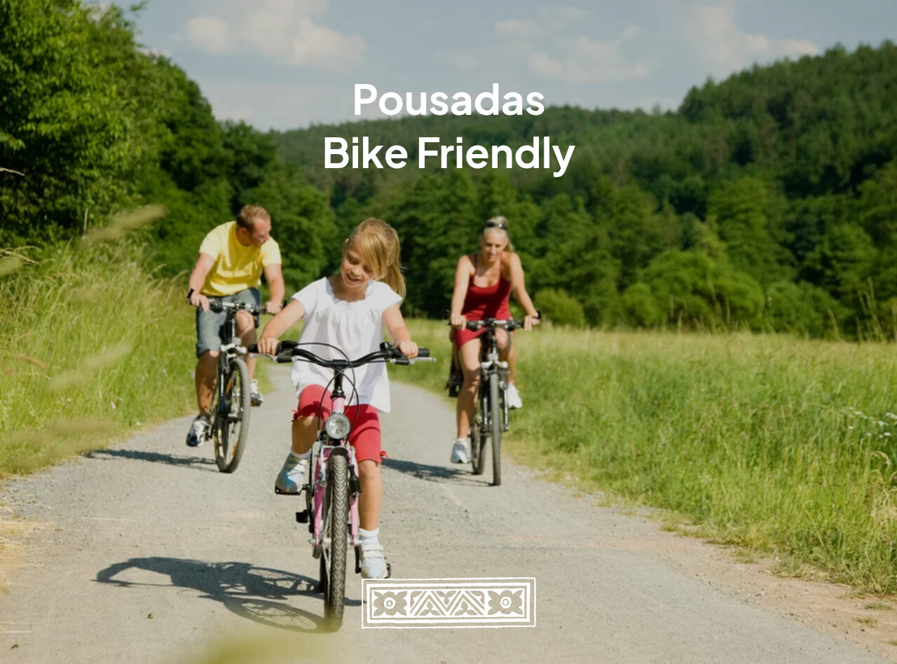 Familie fietst over een landweg tussen groene bomen en velden tijdens een zonnige zomerdag met drie fietsers