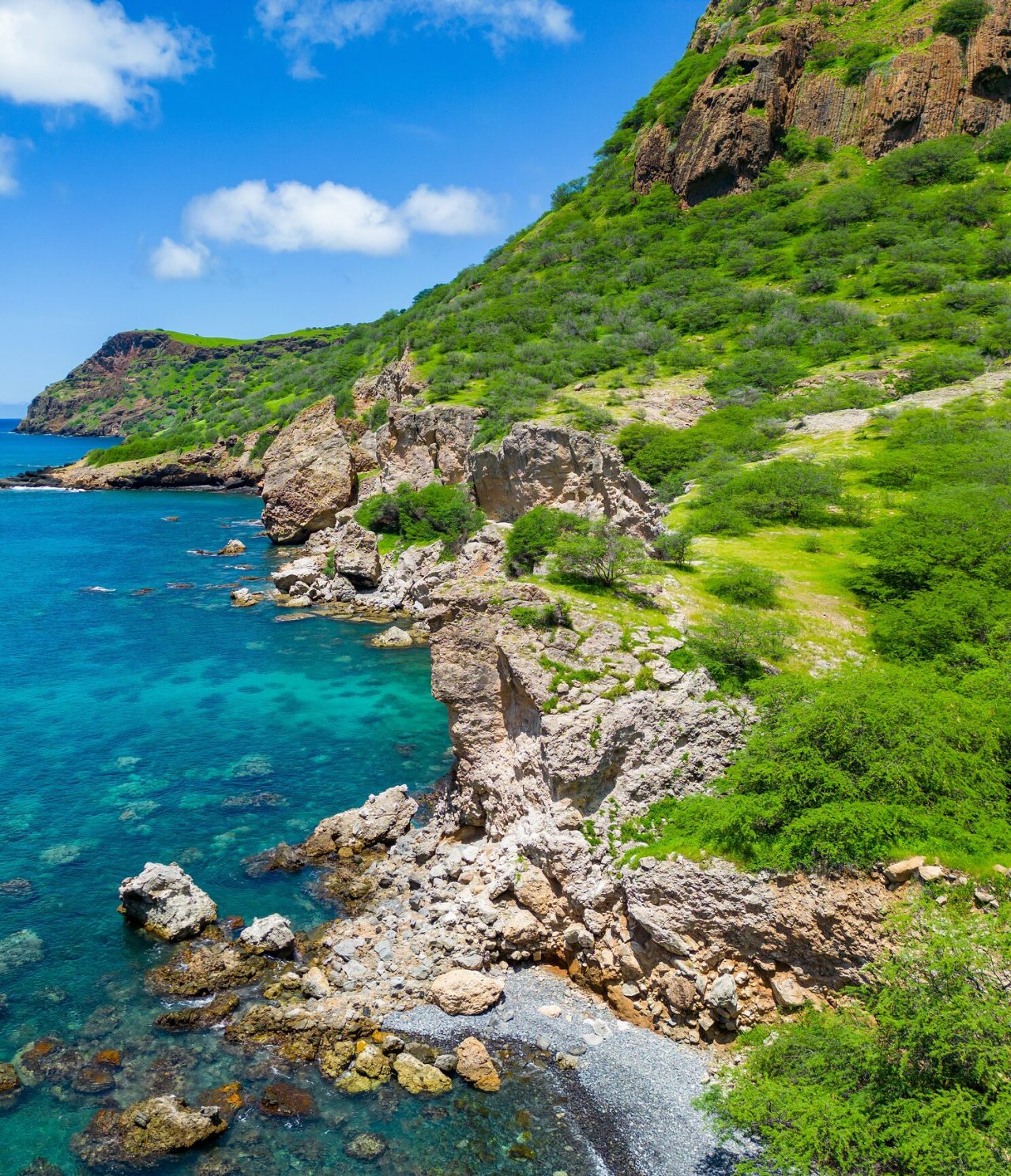 The blue of the Atlantic Ocean contrasting with the lush, rocky nature of Praia City in Cape Verde