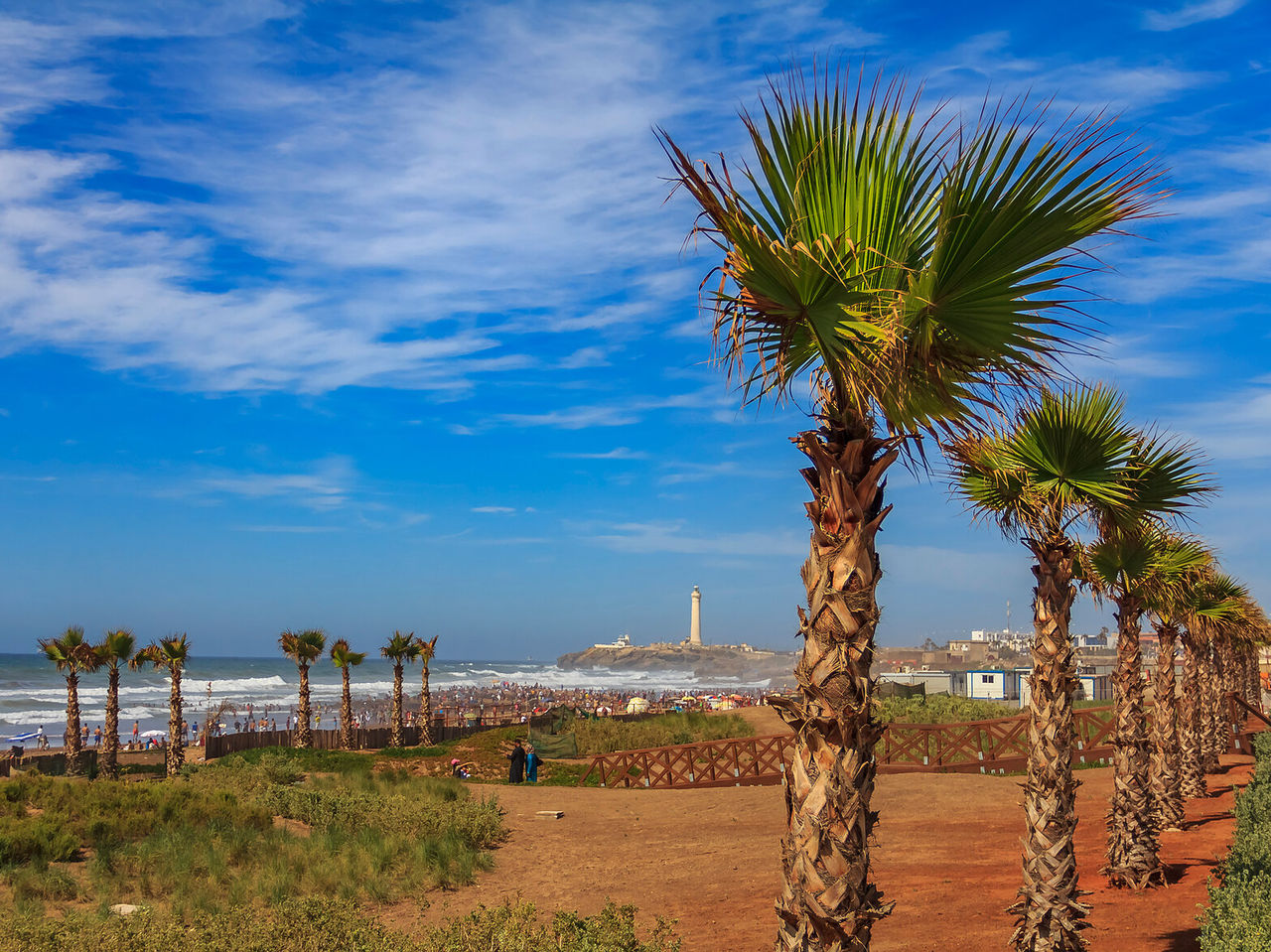 View of Casablanca beach, with several palm trees around and part of the city in the background