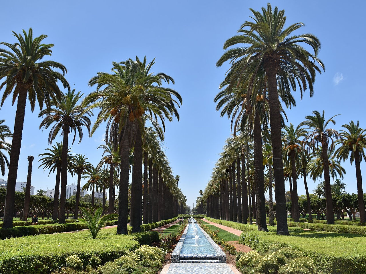 An avenue lined with palm trees, surrounded by other trees and dotted with fountains