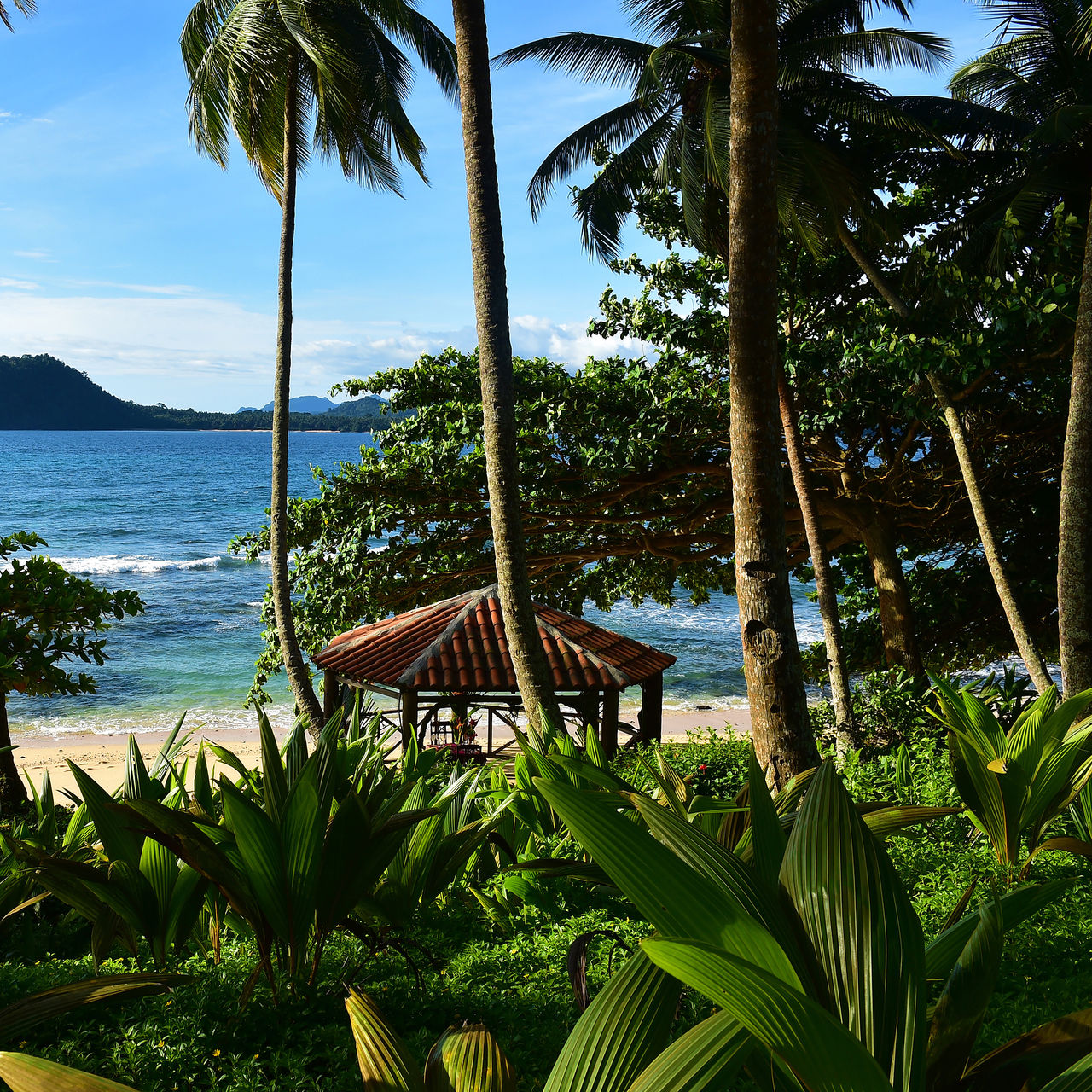 View from Pestana Equador Ilheu das Rolas to the beach, with palm trees, clear water, and mountains in the background