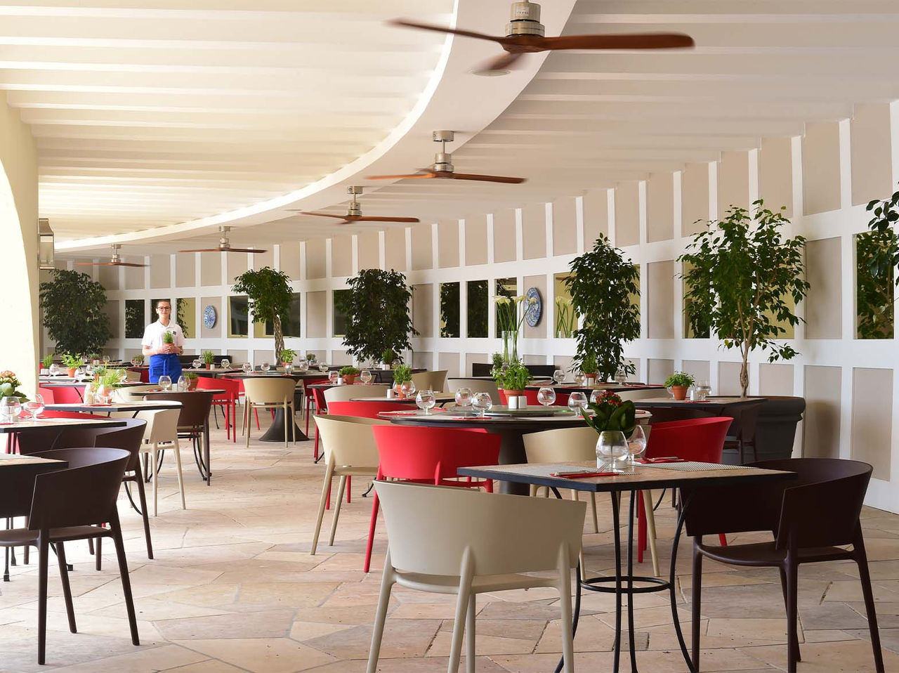 Bar Oceano has an outdoor terrace with small trees and colorful chairs