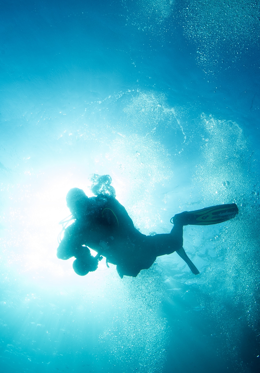 At Ocean Revival Park you have the opportunity to dive into four ships and explore them