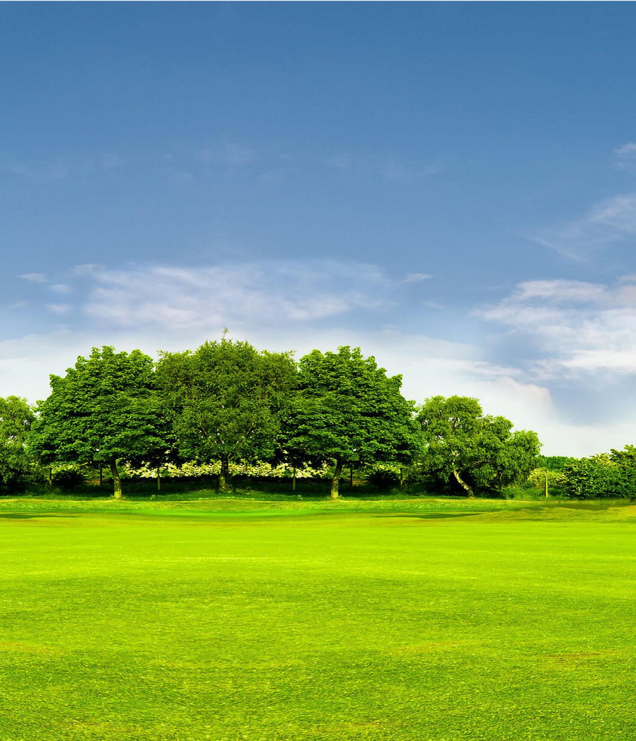 Explore Hotels in Buenos Aires featuring a wide green lawn bordered by leafy trees beneath a bright blue sky