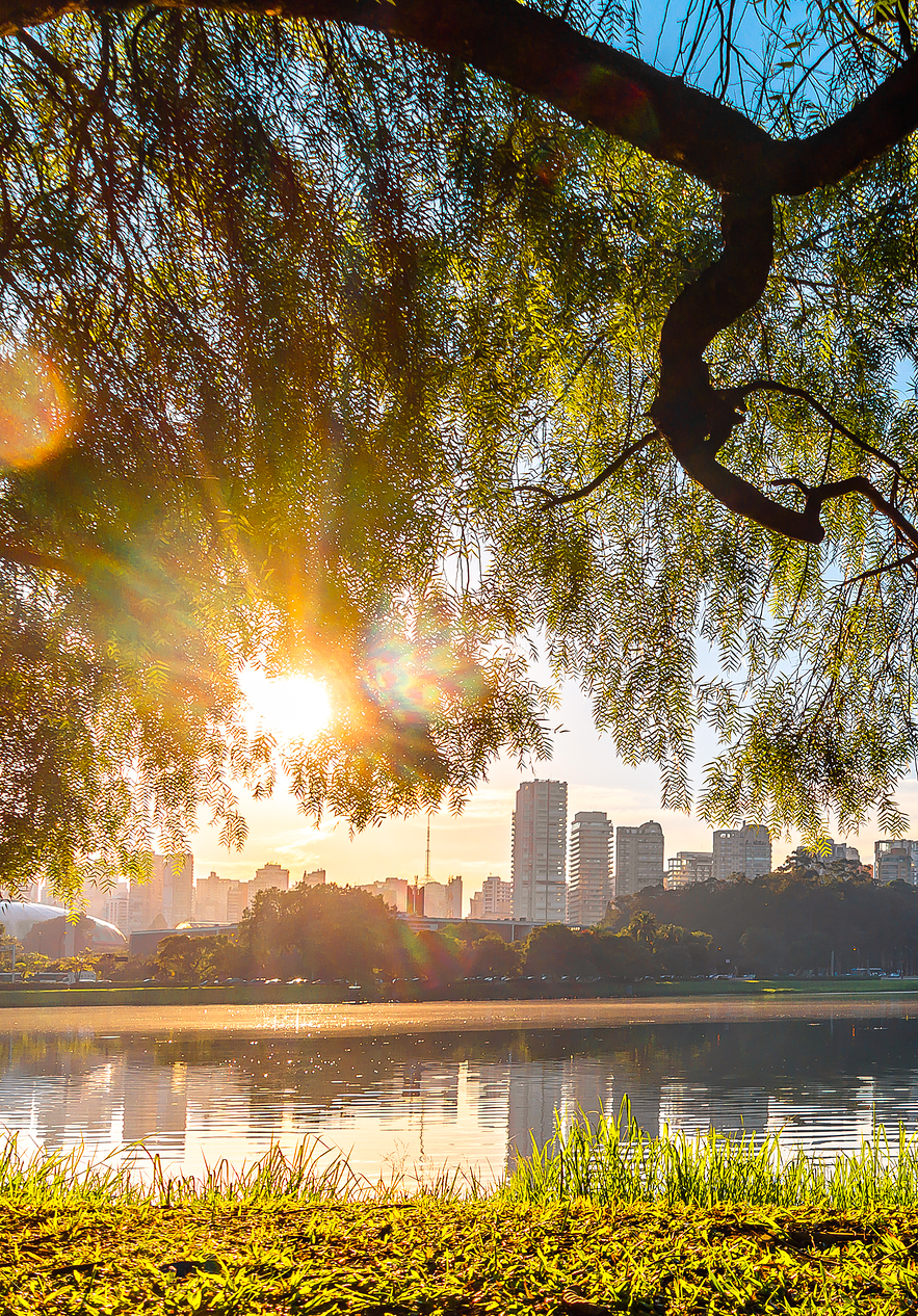 Ibirapuera Park in São Paulo a green refuge in the city with a lake reflecting the blue sky