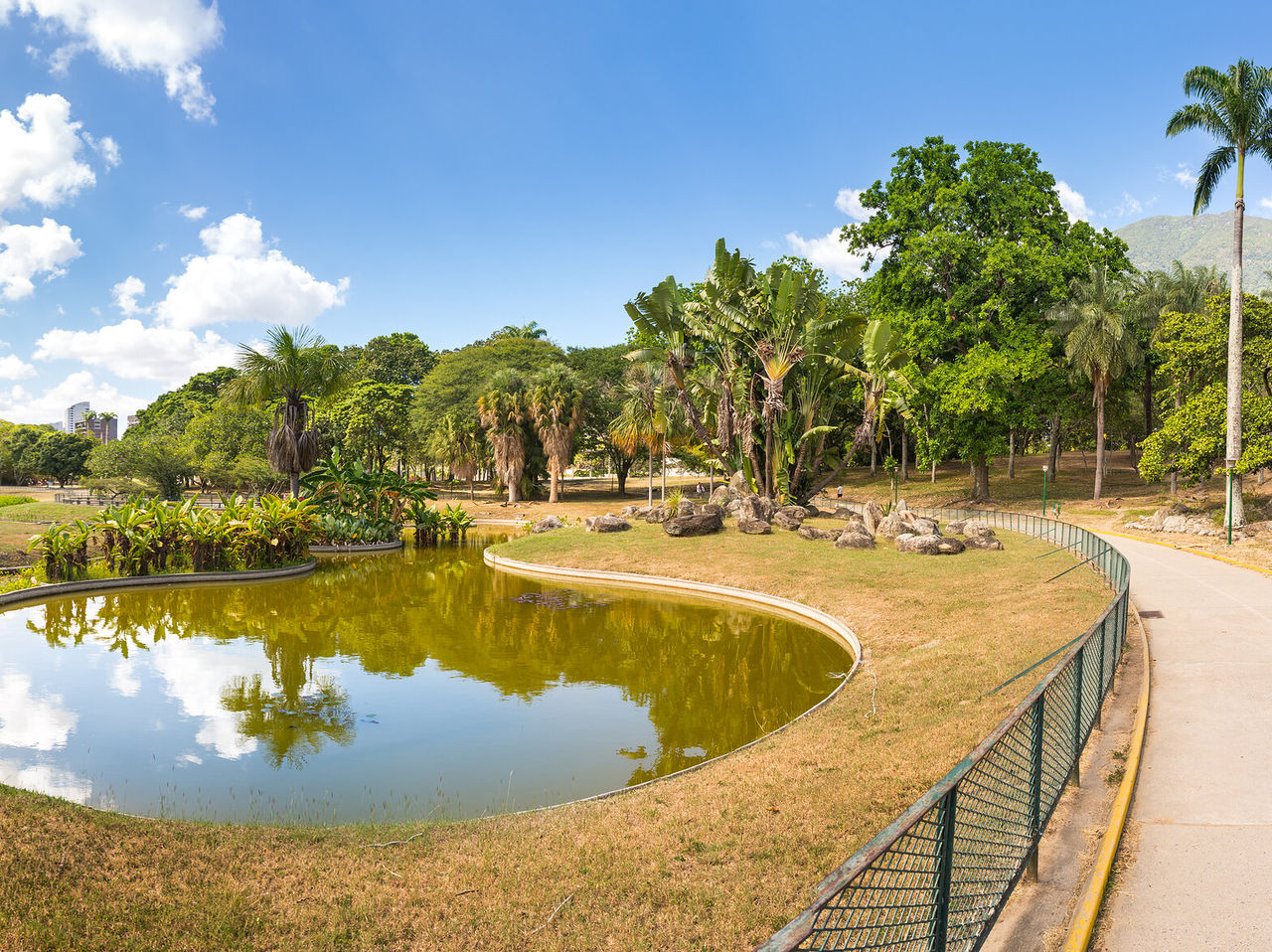 Curved artificial lake in a Caracas park, surrounded by trees and a blue sky