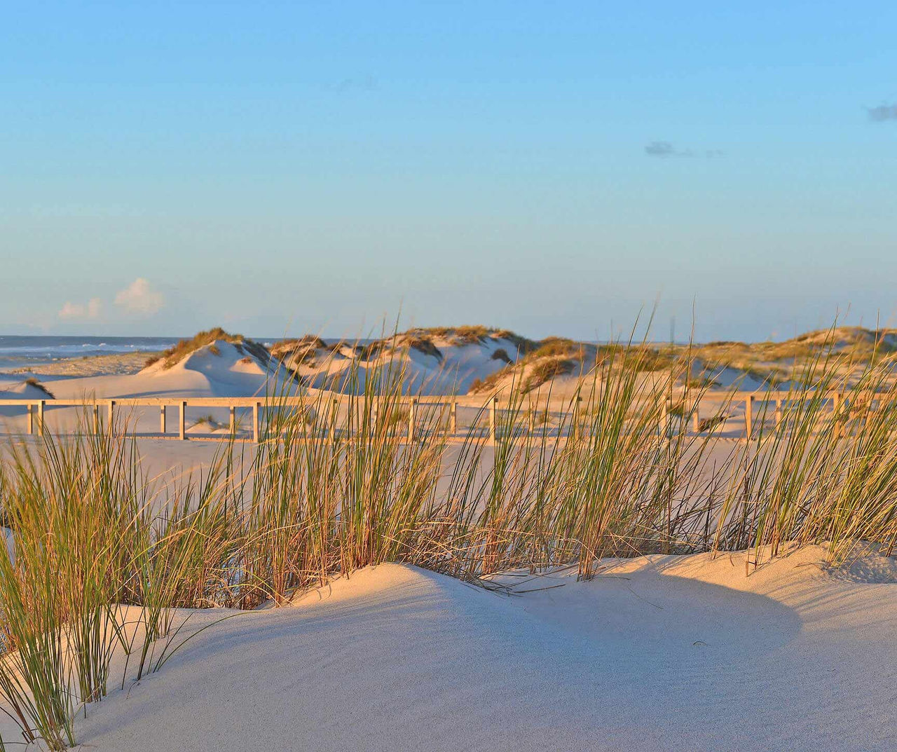 portugal hotel overlooking white sand dunes with tall beach grass under soft evening light by the coast